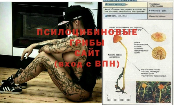 MESCALINE Армянск