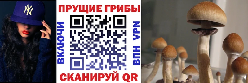Псилоцибиновые грибы прущие грибы Руза